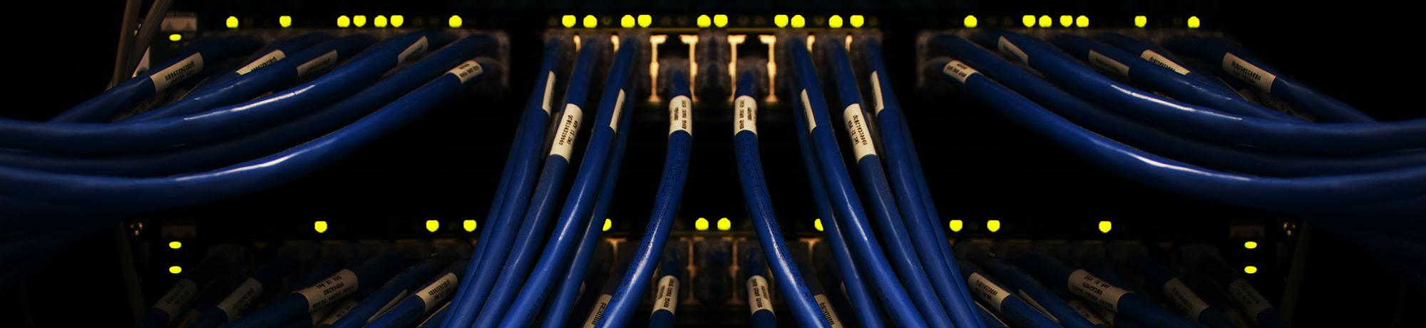 many blue cables plugged in